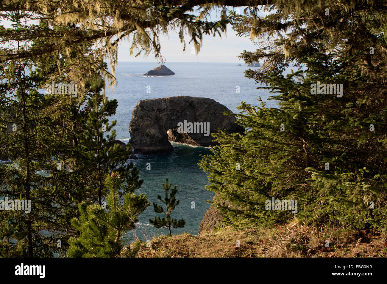 Arch Rock de pique-nique sur la route US 101 sur la côte de l'Oregon sur le mile 12 Samuel H. Boardman corridor panoramique de l'État Banque D'Images