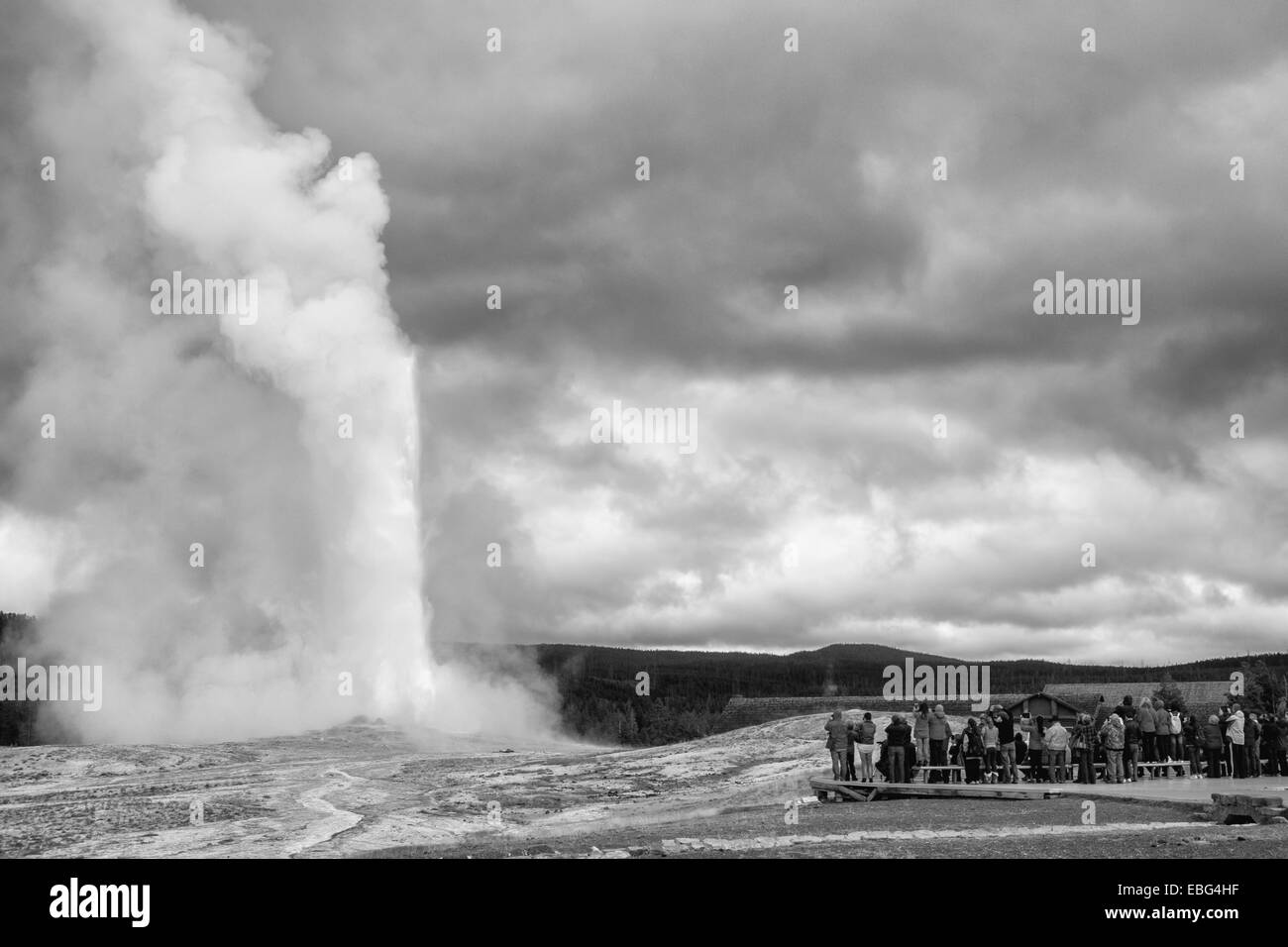 Old Faithful Geyser dans le Parc National de Yellowstone, Wyoming, USA Banque D'Images