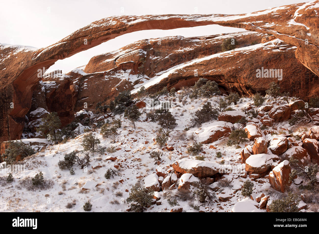 Incroyablement longue (88M span) et mince (1,8m), naturelle, autostable, arc en grès.Landscape Arch, parc national d'Arches, Grand County, Utah, États-Unis. Banque D'Images