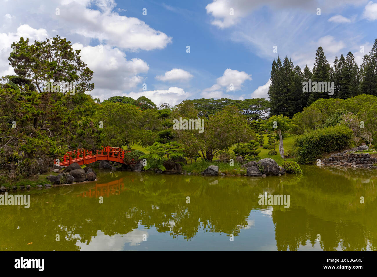 Lake dans le jardin japonais du Jardin Botanique le 'Dr nationale. Rafael María Mosoco', jardin botanique national, Santo Domingo, Banque D'Images