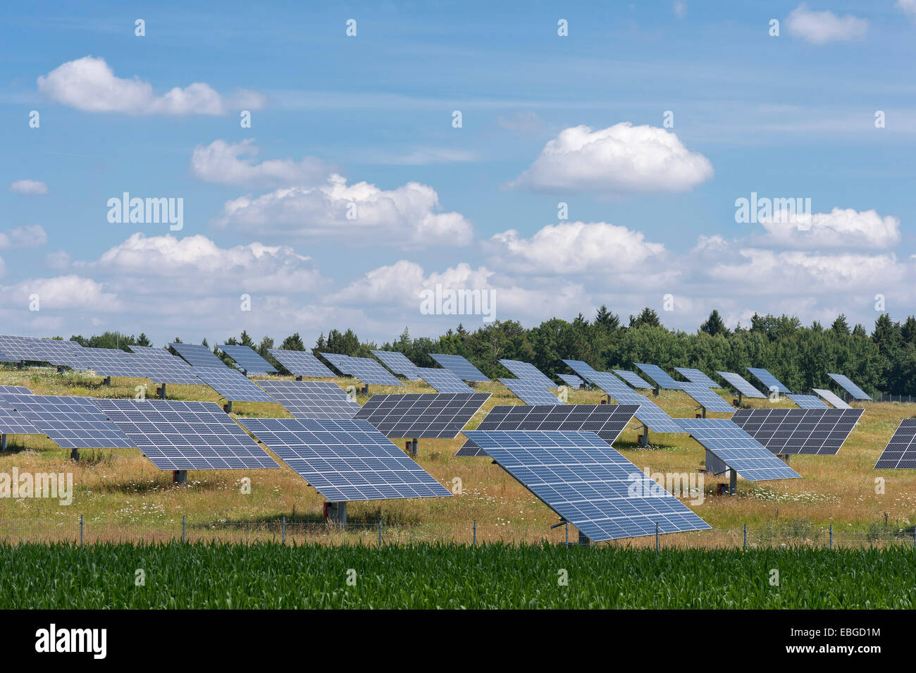 Les modules solaires photovoltaïques site, sur un pré, solar power plant, Altmühltal, Bavière, Allemagne Banque D'Images