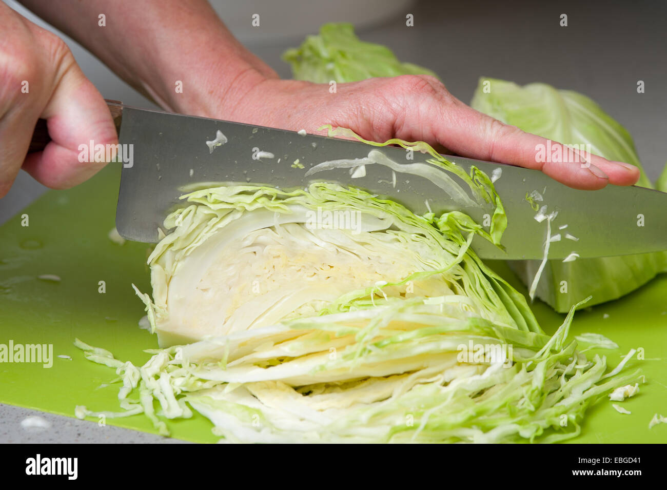 Couper une tête de chou (Brassica oleracea) Banque D'Images