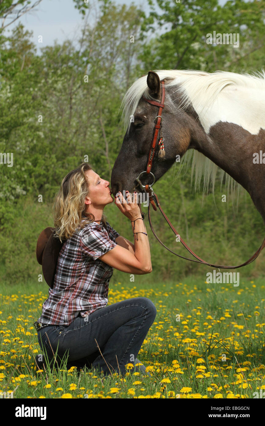 Femme Se Fais Baiser Par Un Cheval Femme baiser par un cheval Banque de photographies et d’images à haute