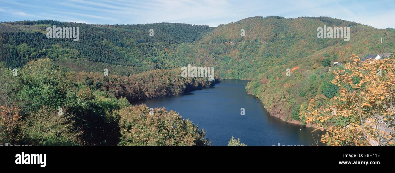 Le lac en face de l'Urft bois Kermeter, Allemagne, Rhénanie-du-NP, Eifel, Nov 03. Banque D'Images