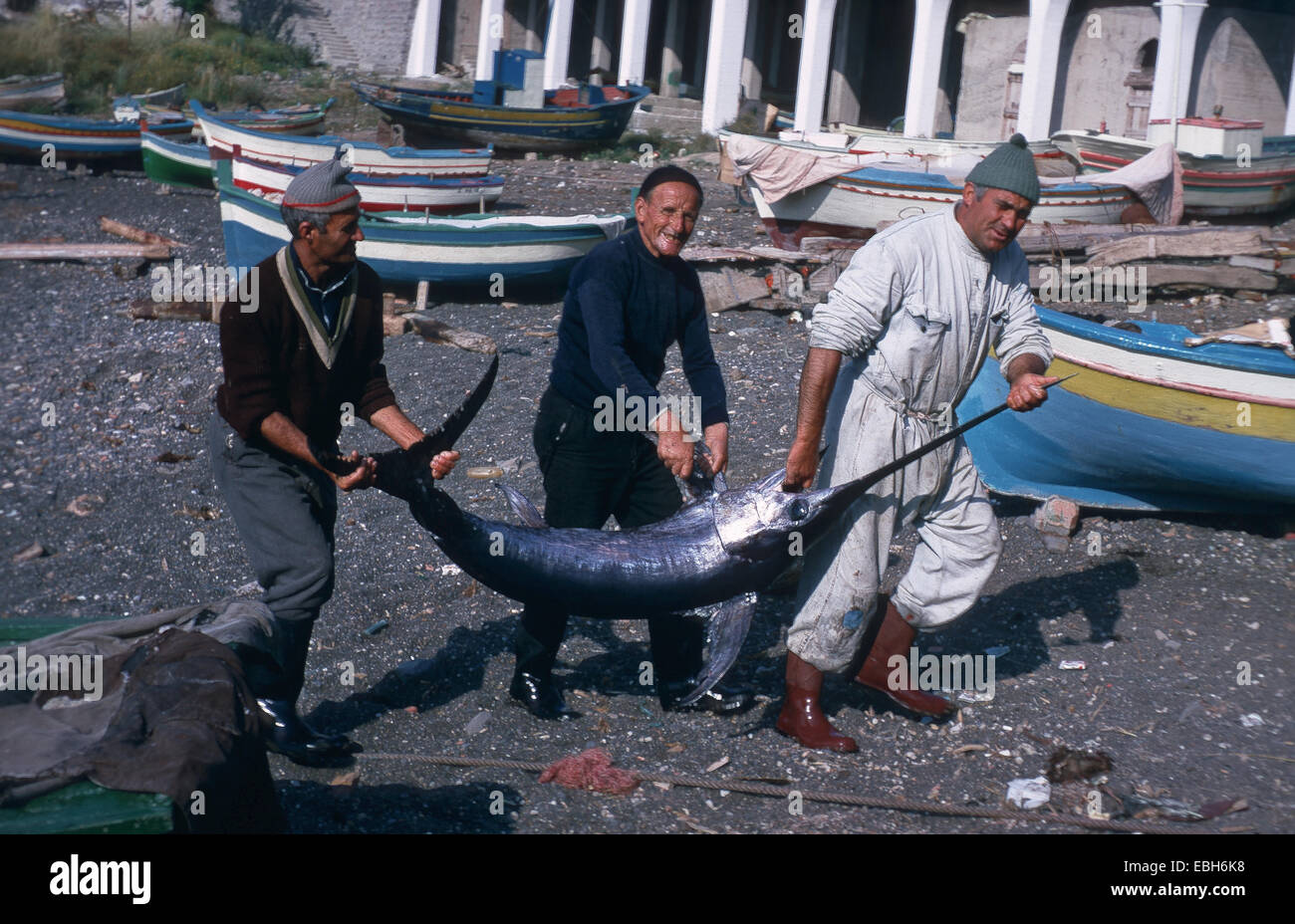 L'espadon (Xiphias gladius), capturés par les pêcheurs siciliens, Mensch, Menschen, personne, Personen, Leute, Mann, Maenner, être humain, les gens, l'homme, les hommes. Banque D'Images