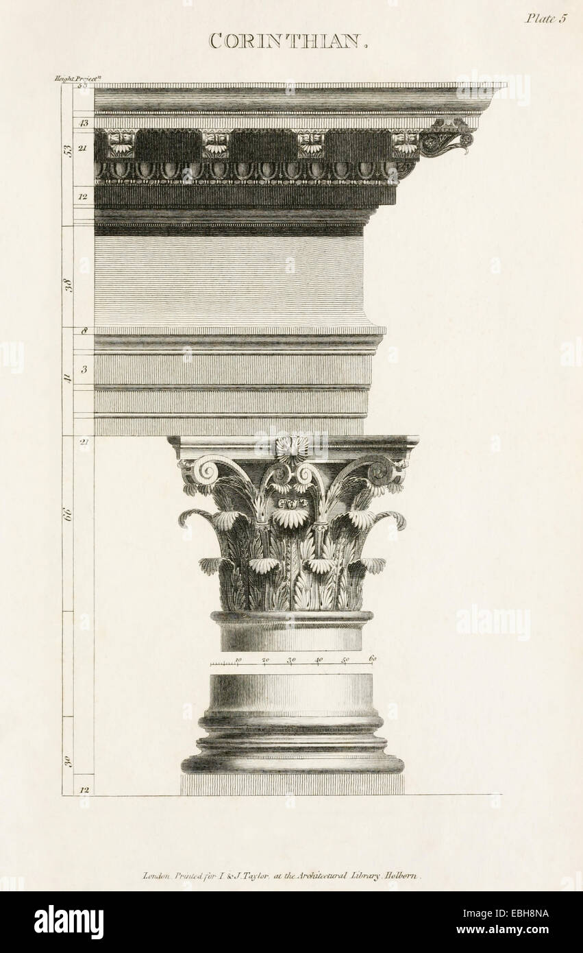 Ordre corinthien de la colonne 'les rudiments de l'architecture ancienne". Voir la description pour plus d'informations. Banque D'Images