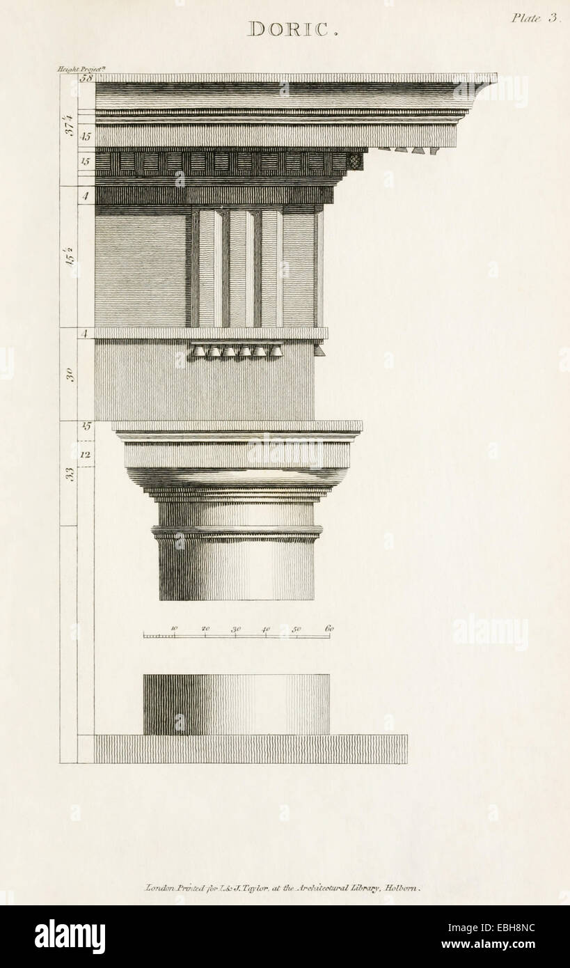 Ordre dorique colonne dans 'Les rudiments de l'architecture ancienne". Voir la description pour plus d'informations. Banque D'Images