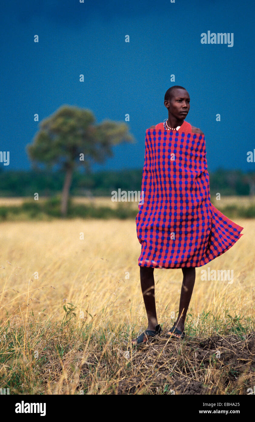 Massai debout sur la colline parlementaire, portant une cape d'épaule que l'on appelle shuka, Kenya, Masai Mara NP. Banque D'Images