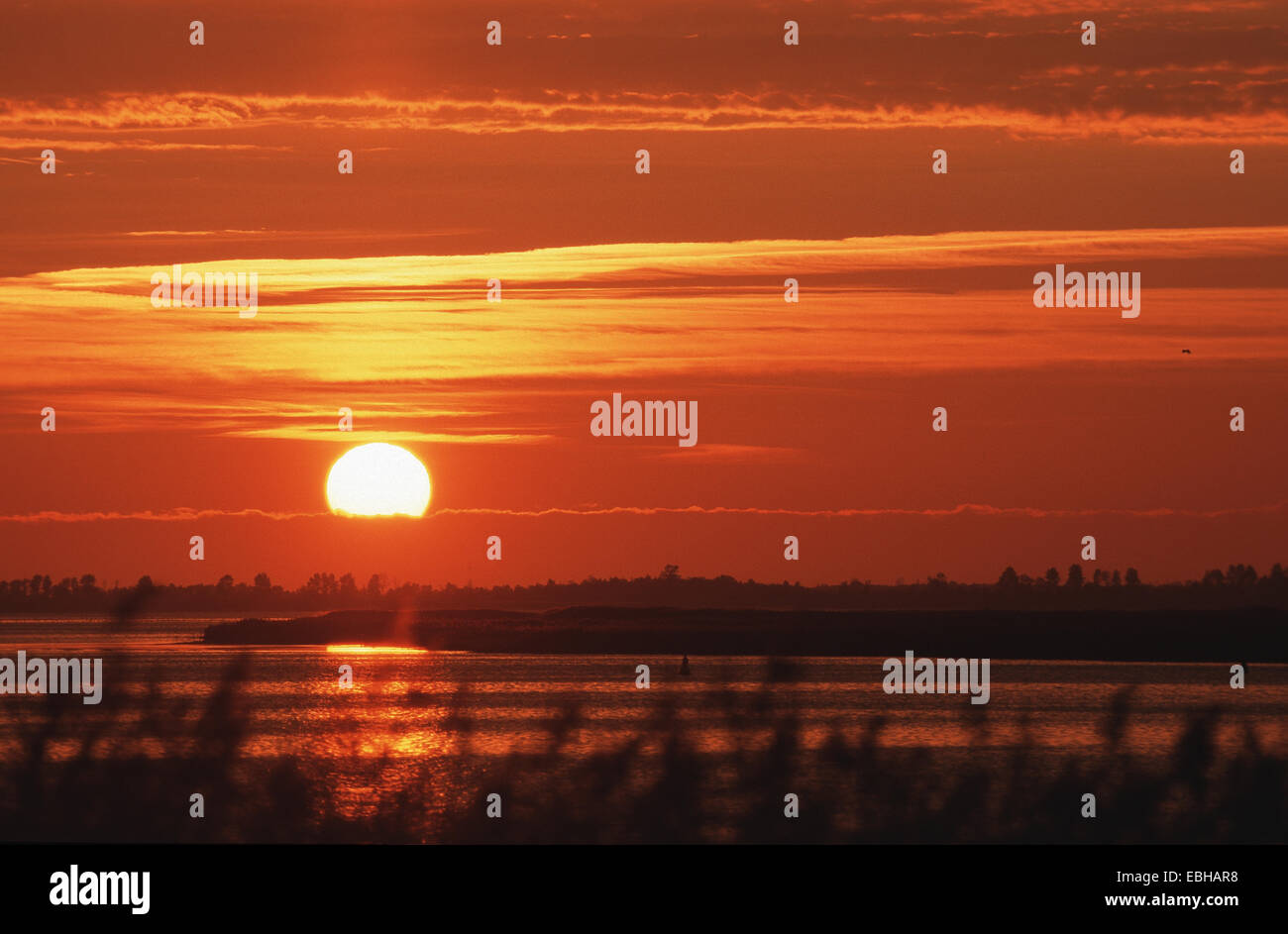 Paysage de la baie, le coucher du soleil. Banque D'Images