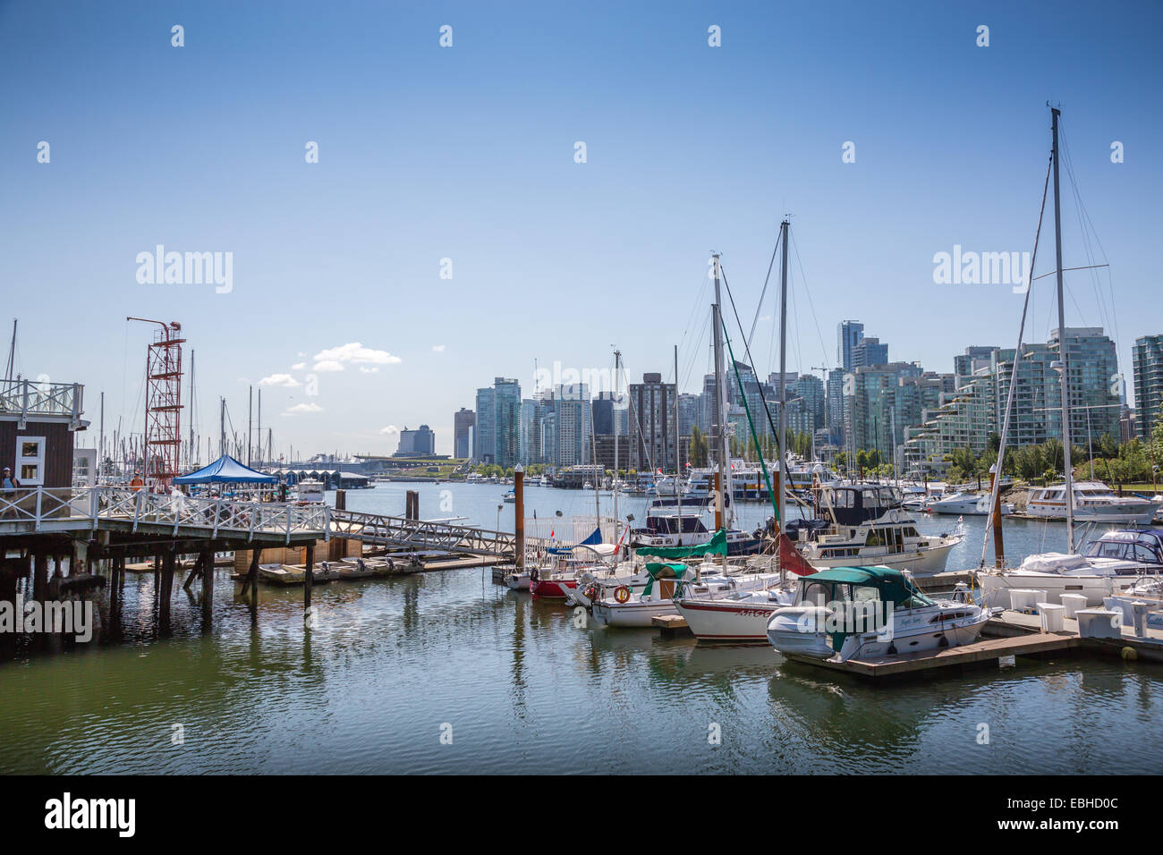 Coal Harbour, le parc Stanley, Vancouver, British Columbia, Canada, Amérique du Nord. Banque D'Images