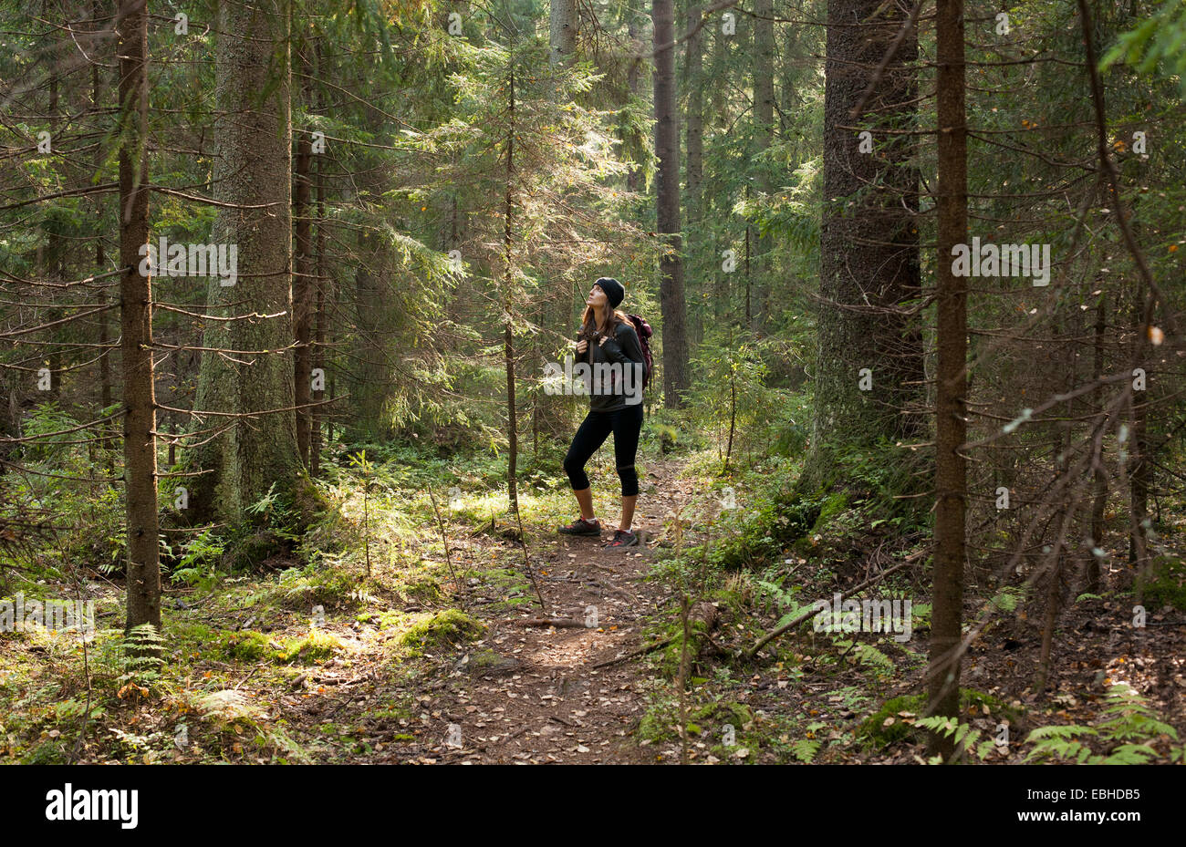 Femme de trekking à travers la forêt, Helsinki, Finlande Banque D'Images Femme de trekking à travers la forêt, Helsinki, Finlande Banque D'Images