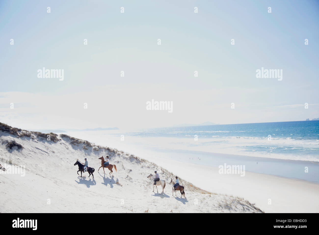 L'équitation, Pakiri Beach, Auckland, Nouvelle-Zélande Banque D'Images