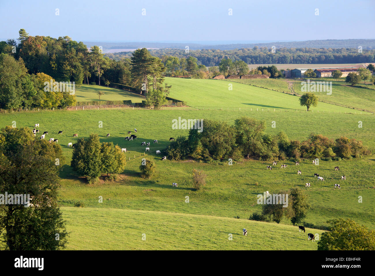 Paysage rural de Colombey-les-Deux-églises Haute Marne France Banque D'Images