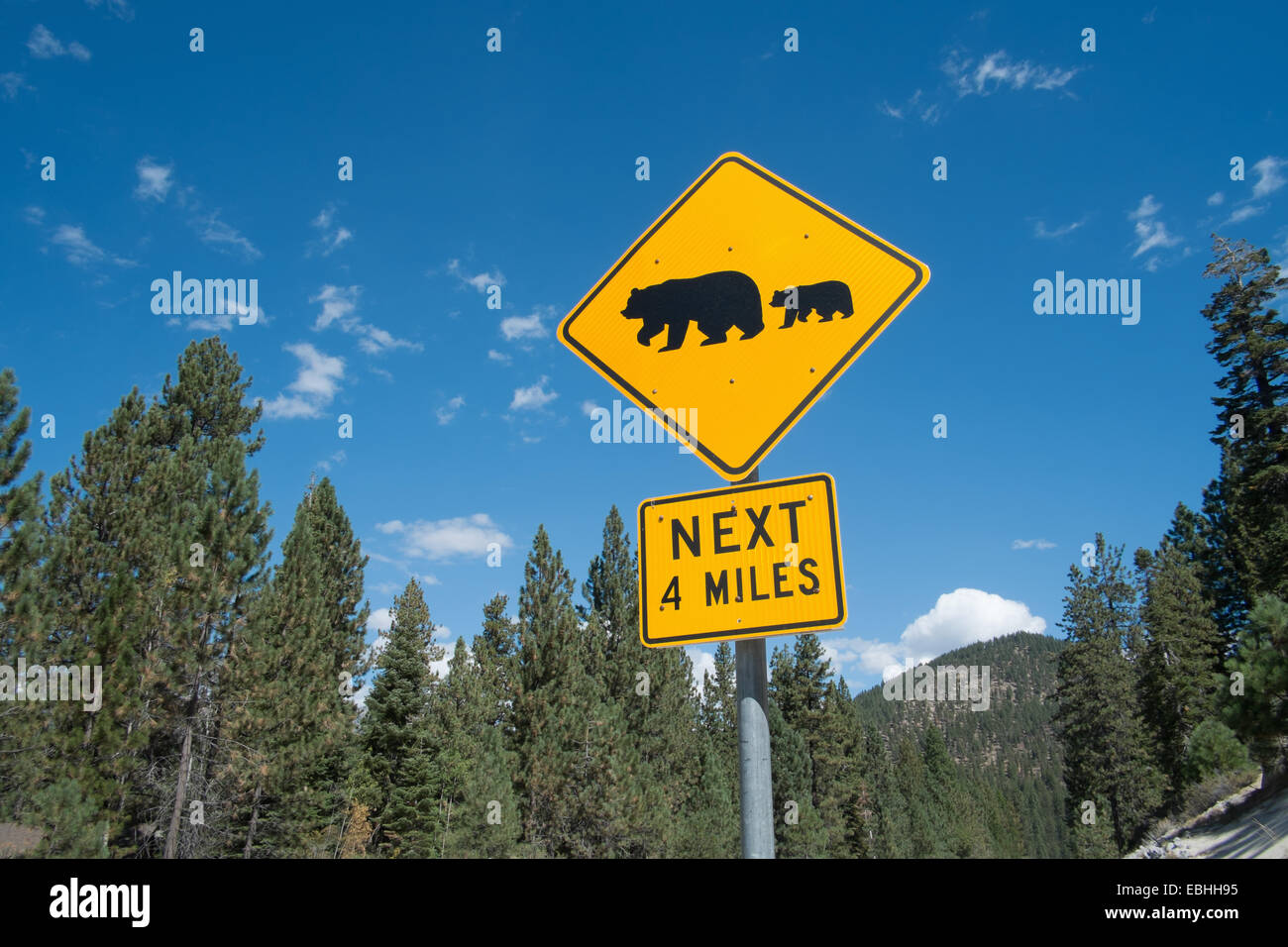 Panneau d'avertissement de l'ours sur l'autoroute 56, South Lake Tahoe, Nevada, USA Banque D'Images
