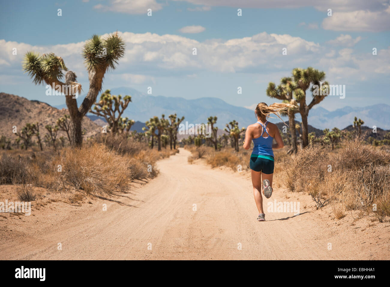 Femme en marche, le parc national Joshua Tree, California, US Banque D'Images