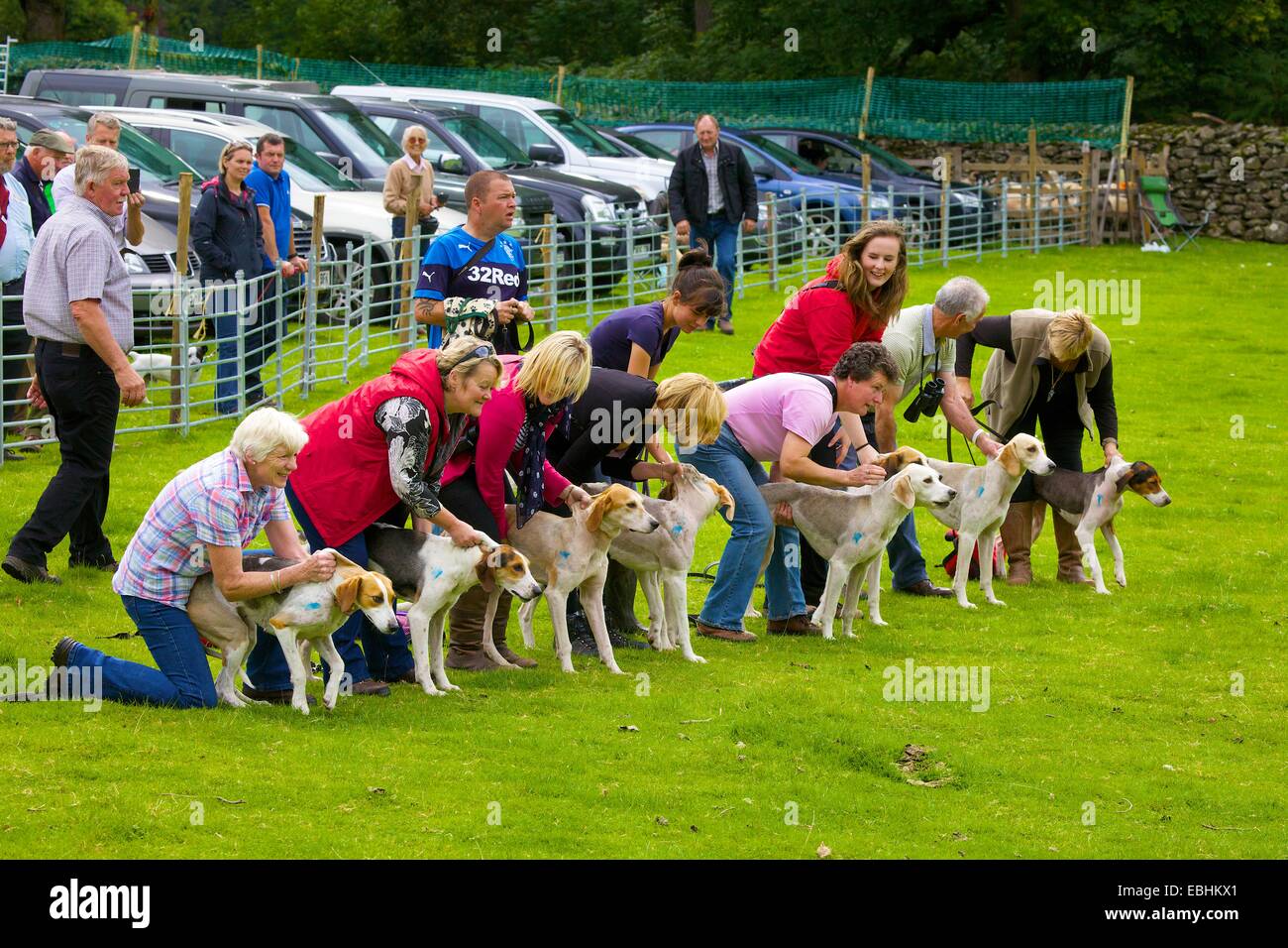 Trailhounds en préparation pour publication. Rydal Show Rydal Hall Ambleside Lake District Cumbria England UK Banque D'Images