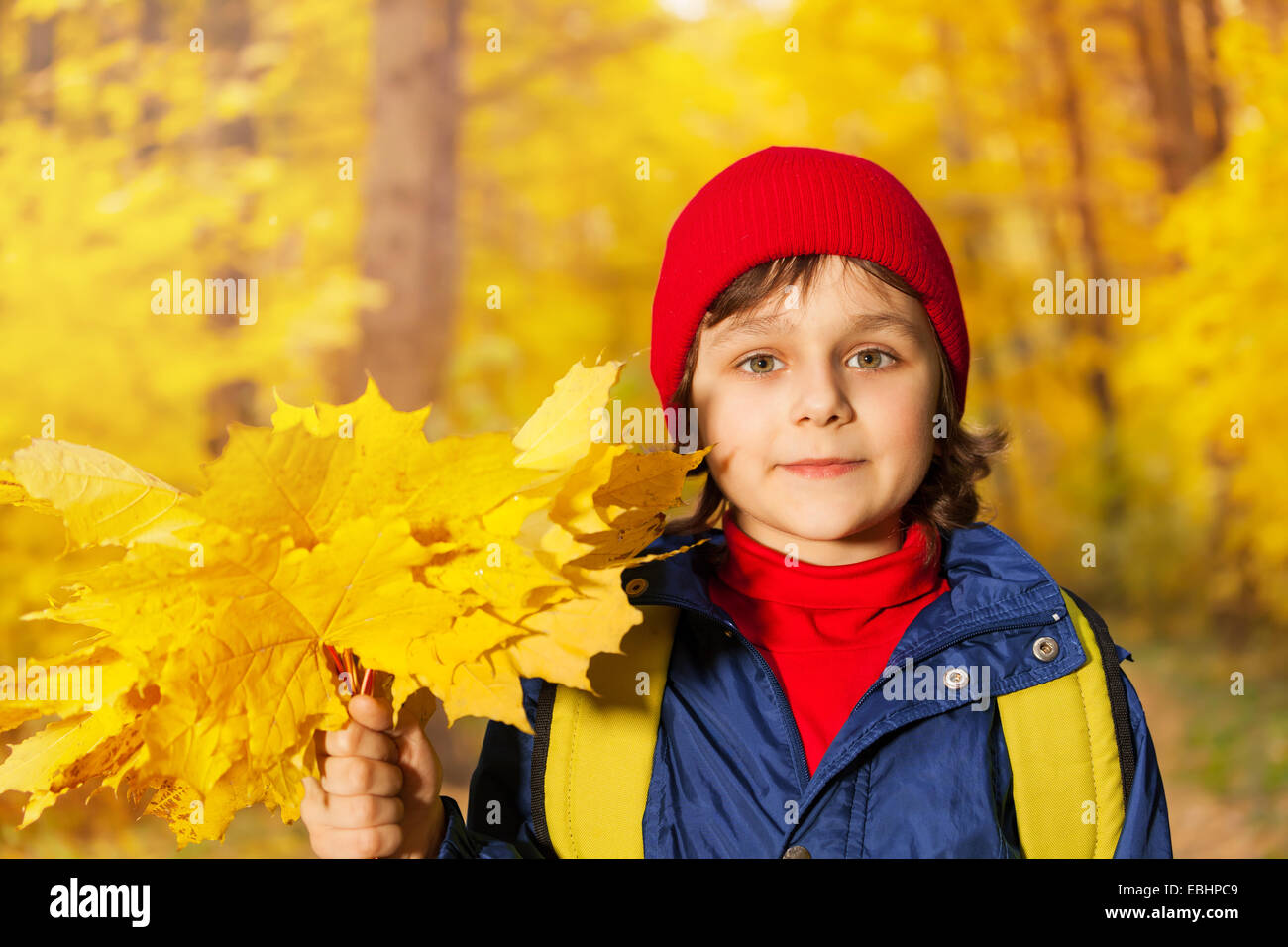 Vue rapprochée du garçon avec des feuilles d'érable jaune Banque D'Images