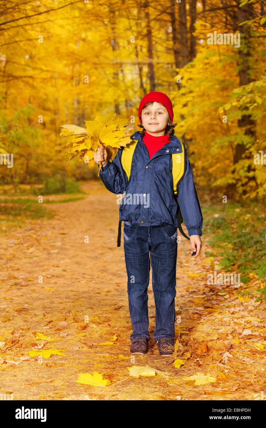 Petit boy stands avec tas de feuilles d'érable jaune Banque D'Images
