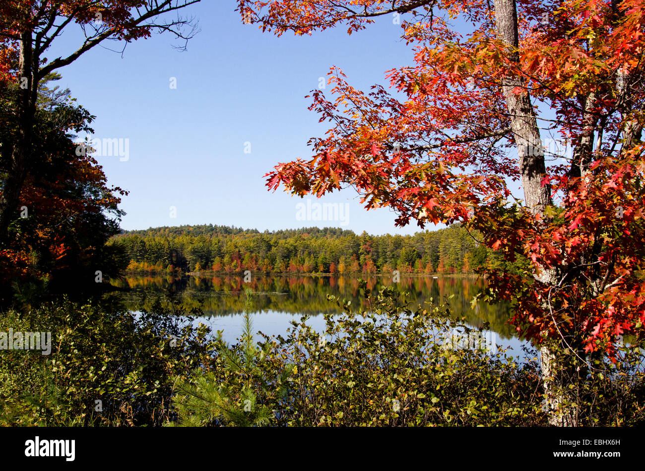 Rivière eau scène lac montagnes Adirondack dans l'automne l'automne de l'année. Banque D'Images
