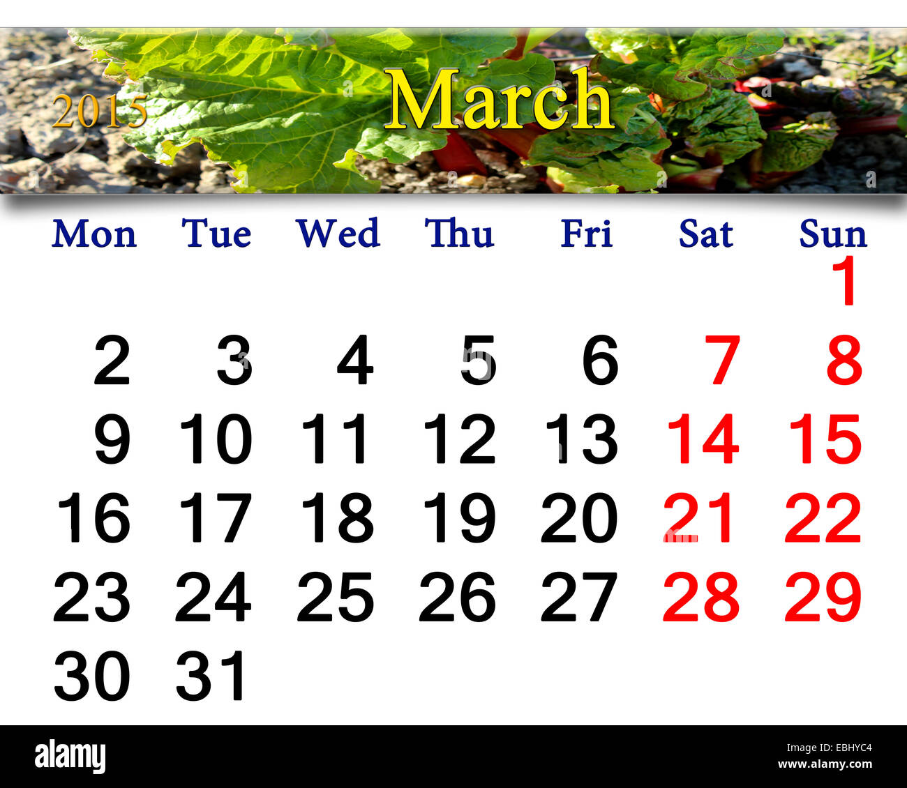 Calendrier pour mars de l'année 2015 avec le ruban avec la rhubarbe verte Banque D'Images