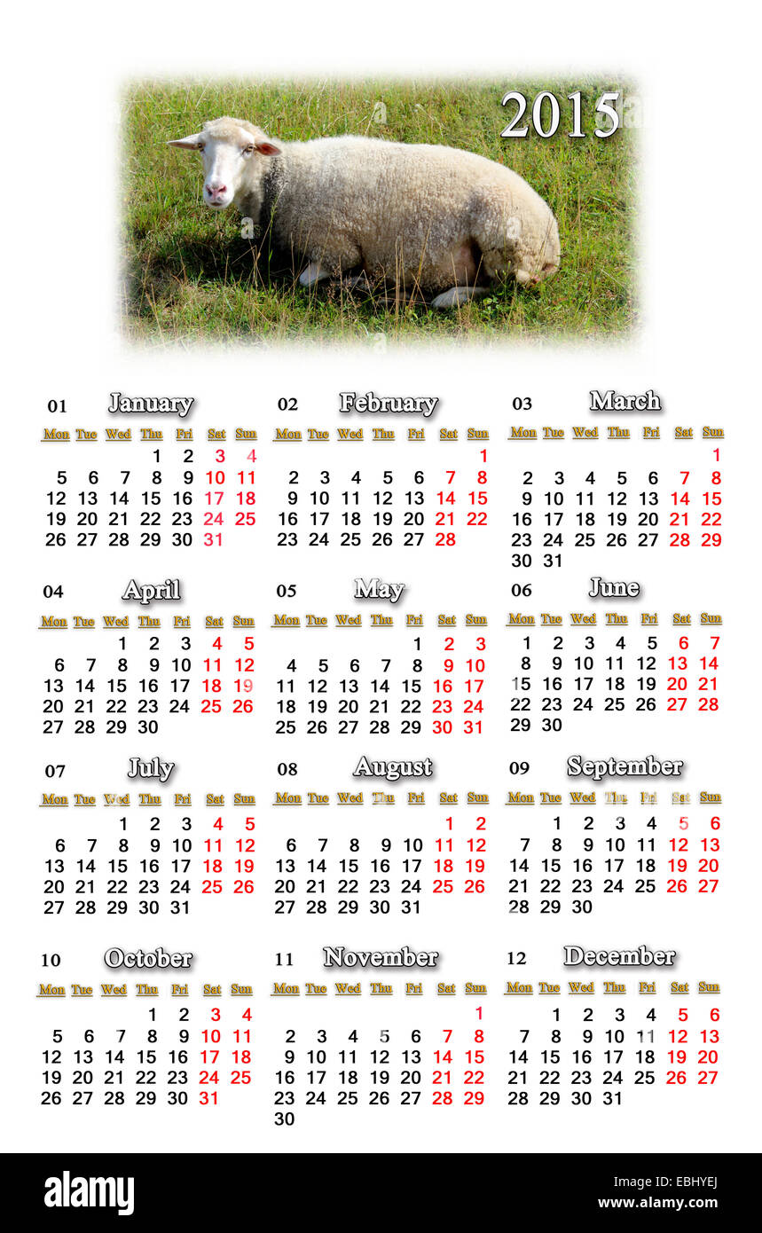 Calendrier pour l'année 2015 belle avec des moutons sur l'herbe Banque D'Images