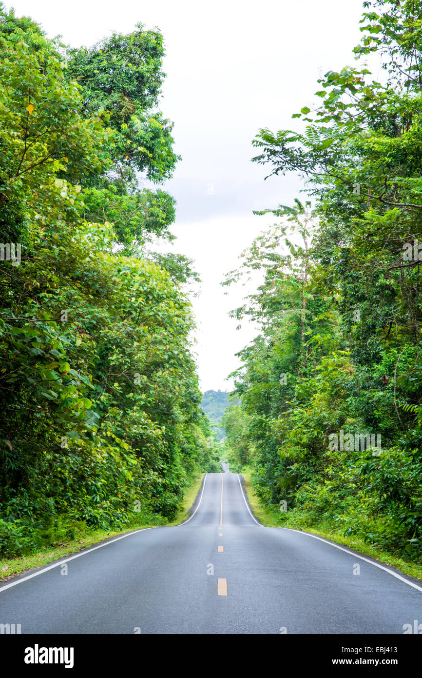 Road et vert forêt, parc national Khao Yai, Thaïlande Banque D'Images
