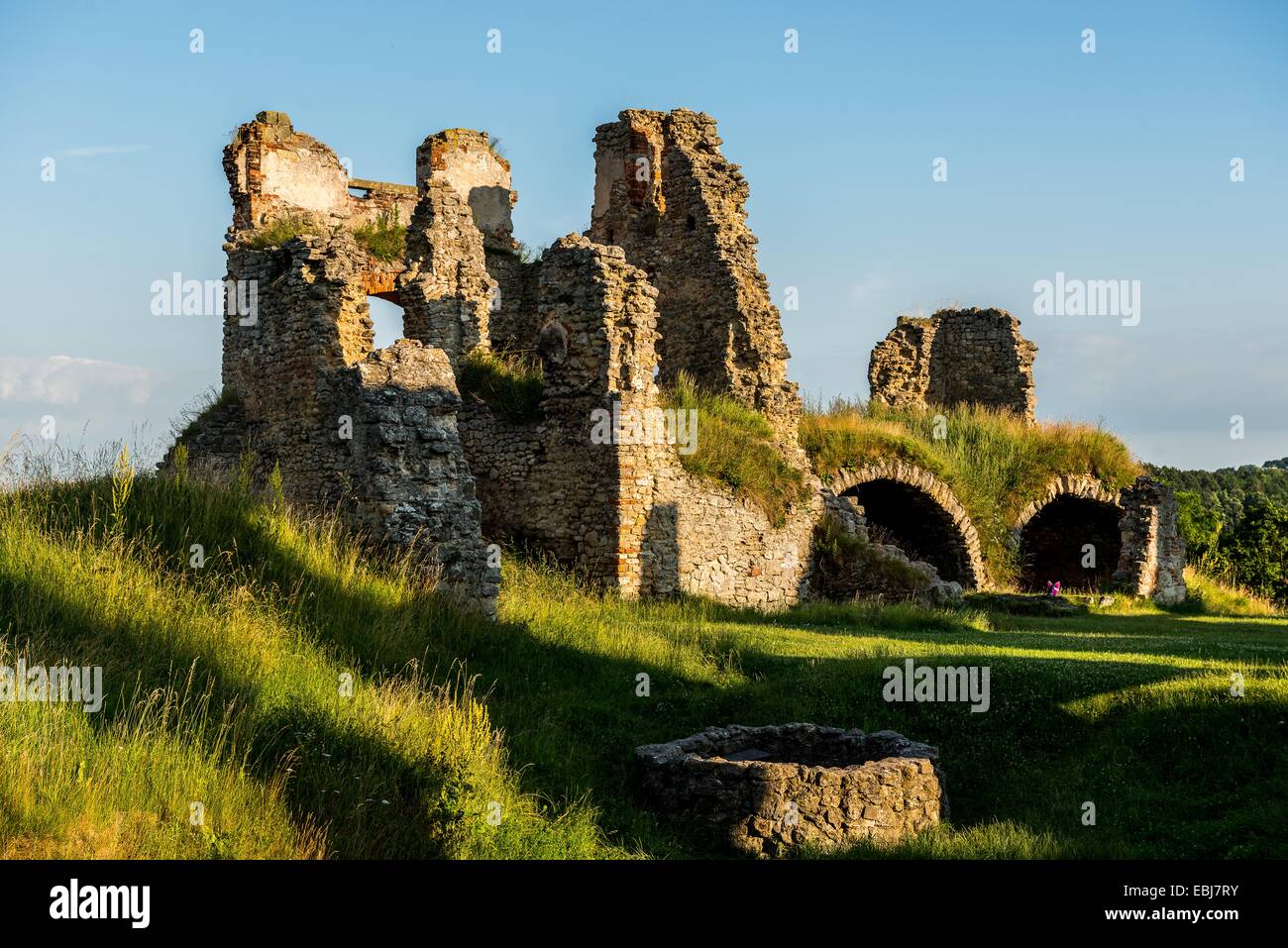 Zviretice, ruine, château Banque D'Images