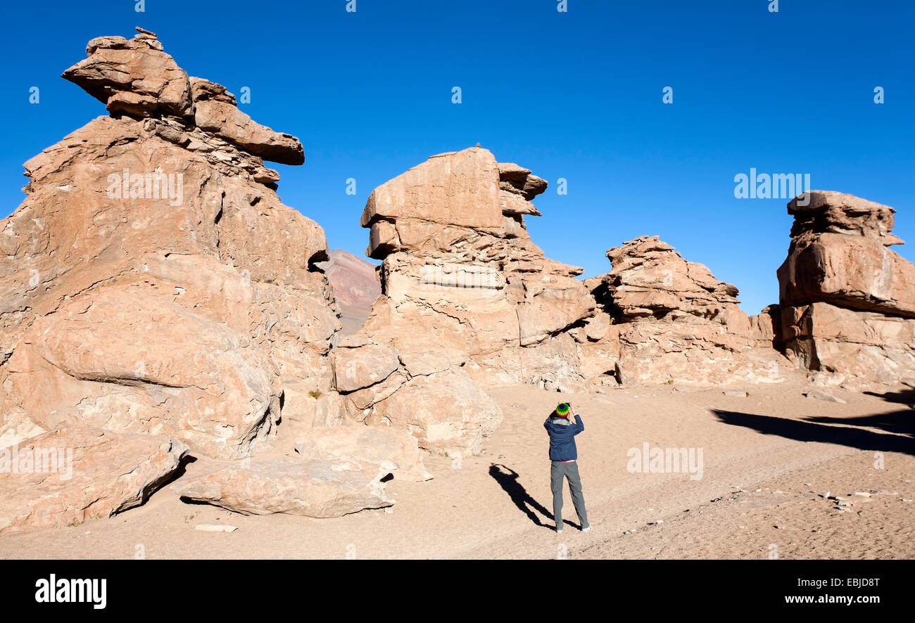 Formations de roche. Le désert de Dali. Excursion au Salar de Uyuni. La Bolivie Banque D'Images