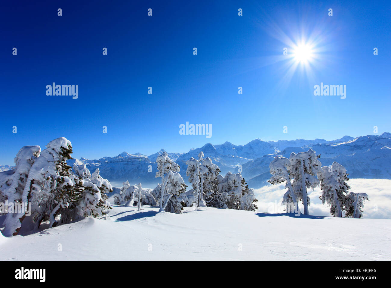 Vue depuis de Niederhorn Dreigestirn, Eiger, Moench et Jungfrau, Suisse, Alpes Bernoises Banque D'Images