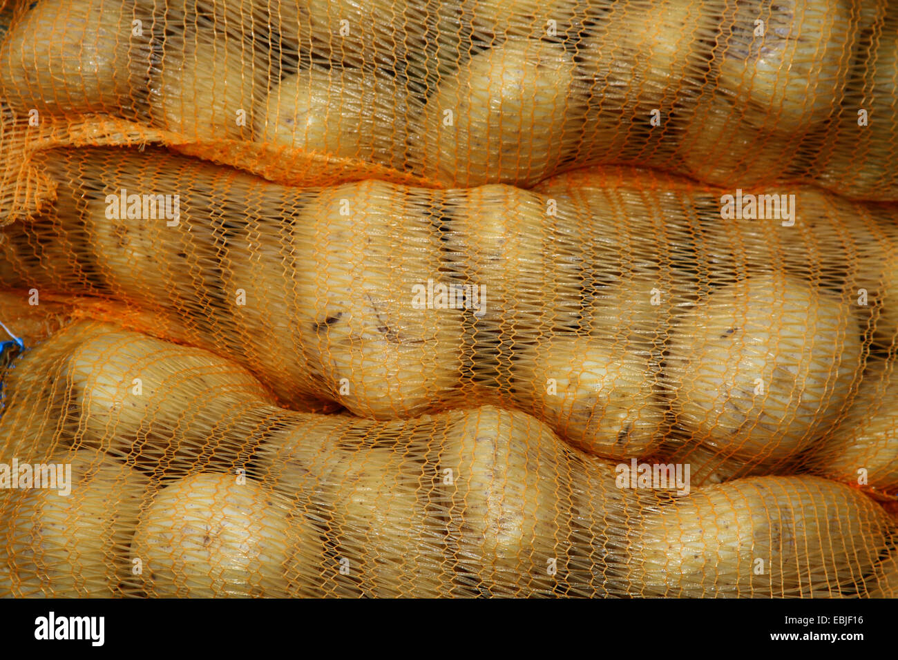 La pomme de terre (Solanum tuberosum), pile de sacs de pommes de terre, Allemagne Banque D'Images