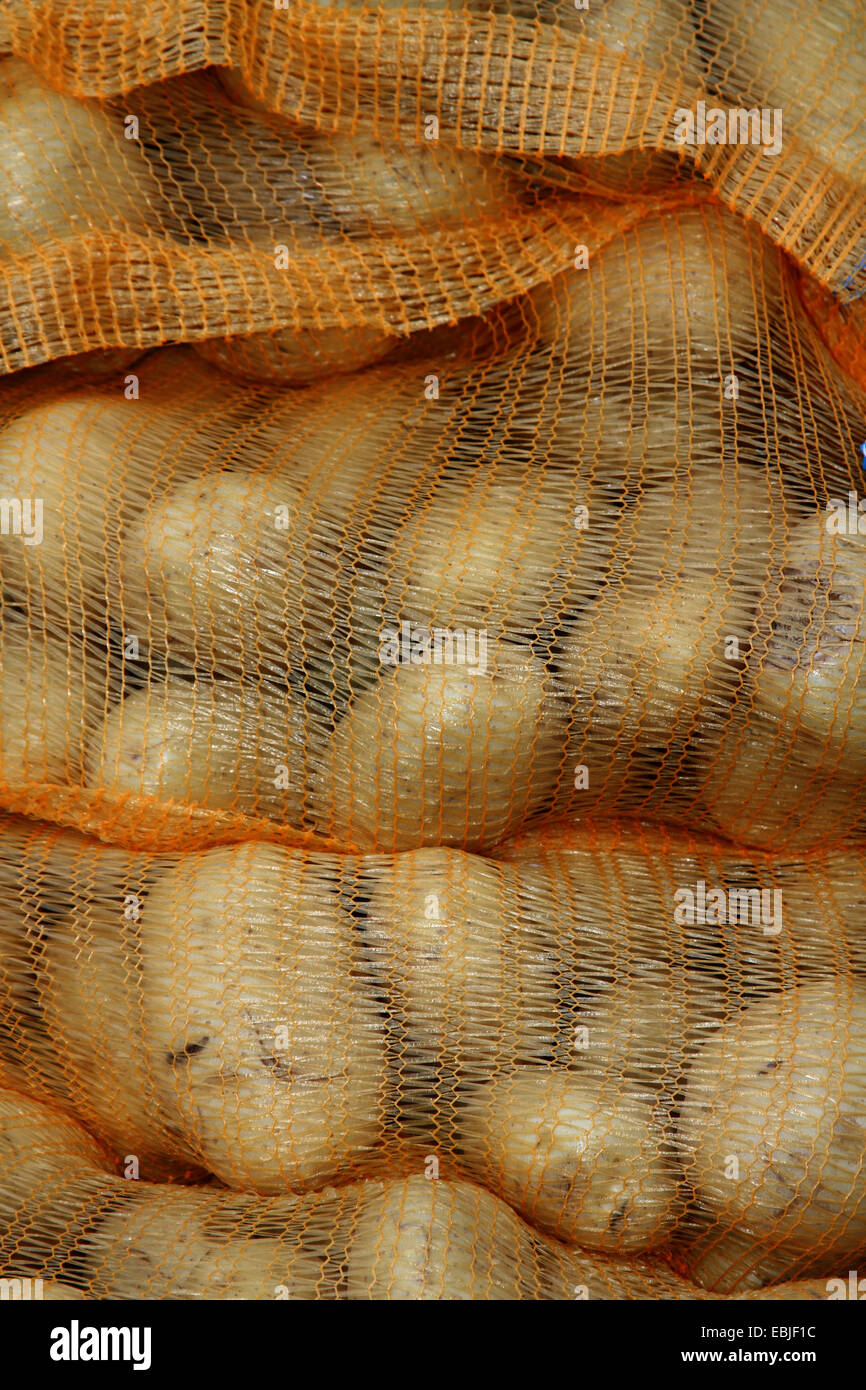 La pomme de terre (Solanum tuberosum), pile de sacs de pommes de terre, Allemagne Banque D'Images