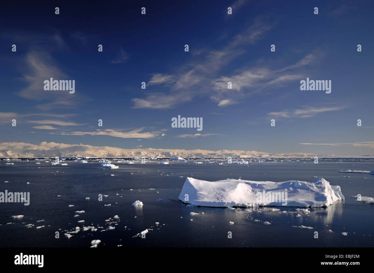 Les icebergs sur la mer de Weddell, dans la zone 'Larsen A' avec la côte de la péninsule Antarctique, à l'arrière-plan Banque D'Images