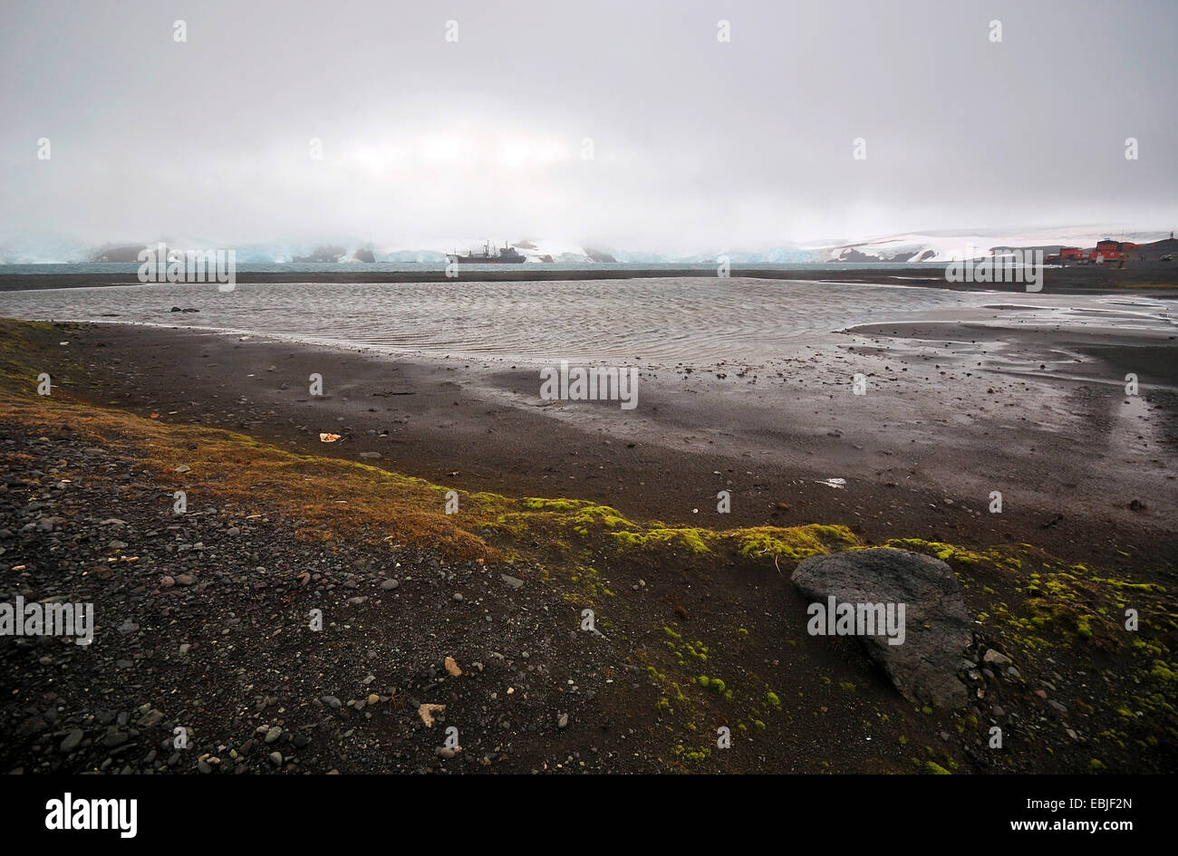 Paysage des déchets de Potter Cove, l'Antarctique, l'île du Roi George Banque D'Images