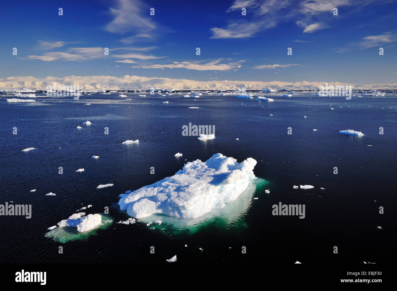 Les icebergs sur la mer de Weddell, dans la zone 'Larsen A' avec la côte de la péninsule Antarctique, à l'arrière-plan Banque D'Images