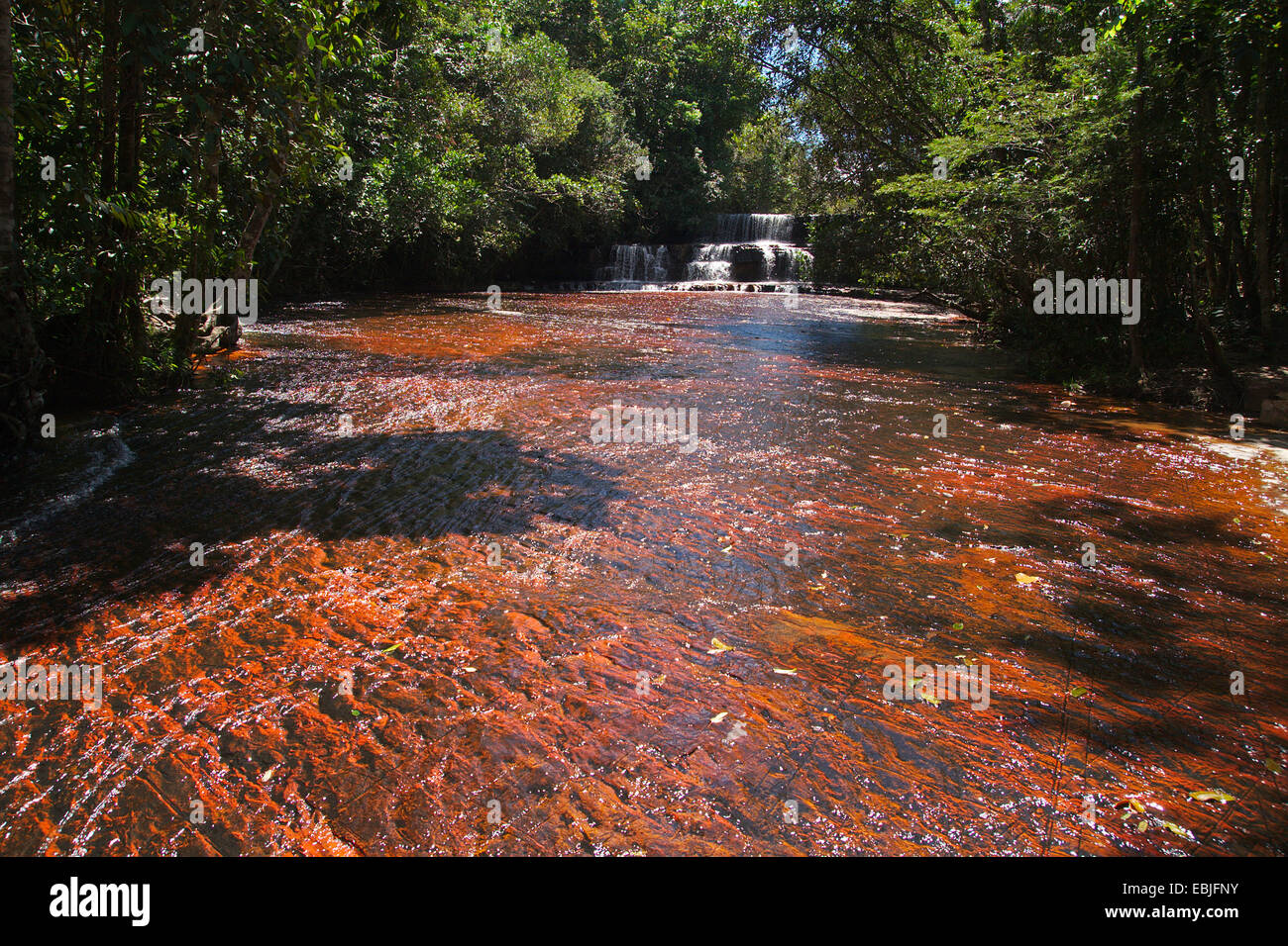 Lit de rivière de Jasper, Quebrada de jaspe, Venezuela, Parc national Canaima Banque D'Images