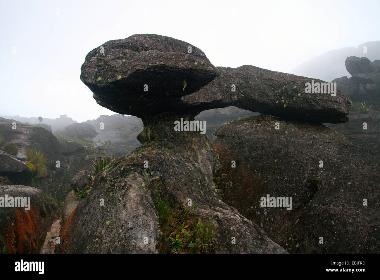 Bizarr formations de grès sur le mont Roraima, Venezuela, Parc national Canaima Banque D'Images