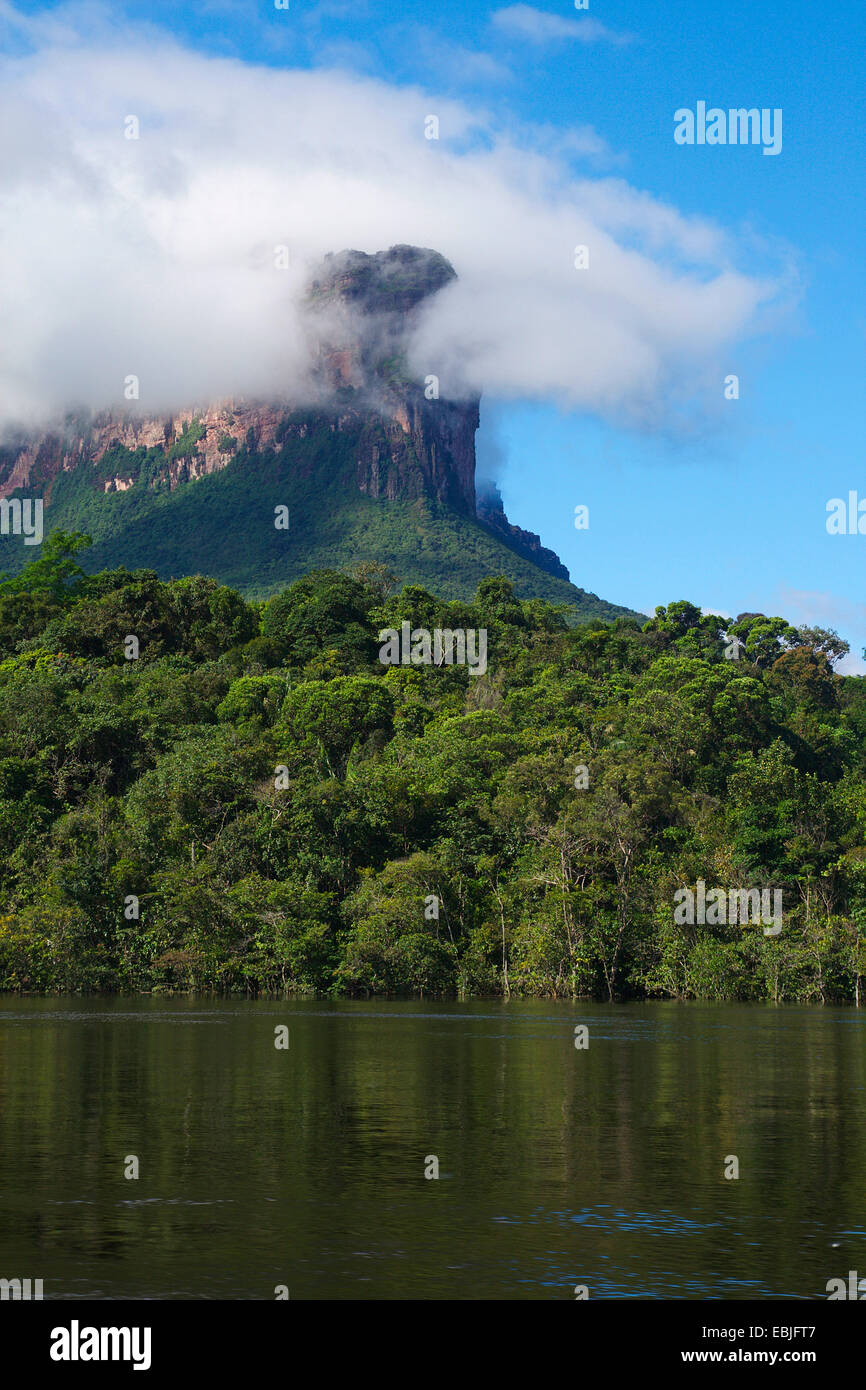 Rio Carrao Auyantepuy et Table Mountain, le Venezuela, l'Camaina Auyan Tepui, Parc National Banque D'Images