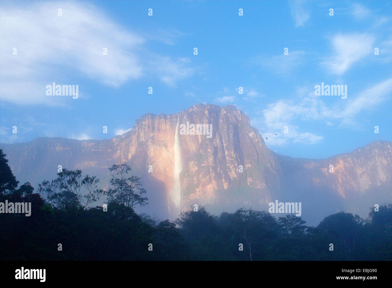 Angel Falls, Venezuela, Camaina Auyan-Tepui, Parc National Banque D'Images