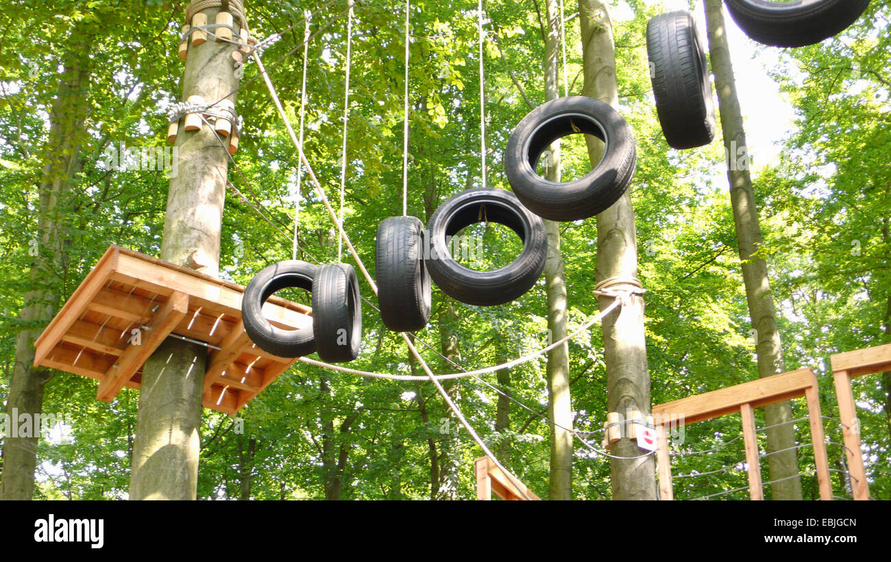 Bien sûr, high ropes escalade park Banque D'Images