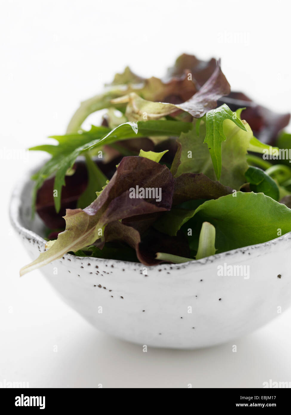 Les feuilles de salade dans un bol, close-up Banque D'Images