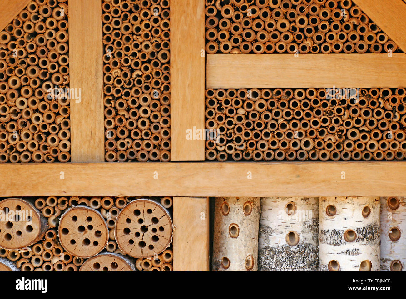 Hôtel pour insectes abeilles sauvages, Allemagne Banque D'Images