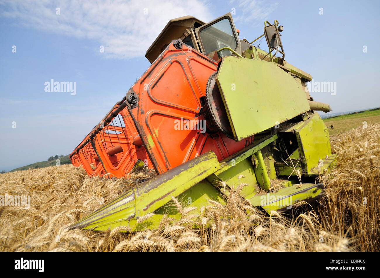 Moissonneuse-batteuse, dans le champ de céréales mûres, France Banque D'Images