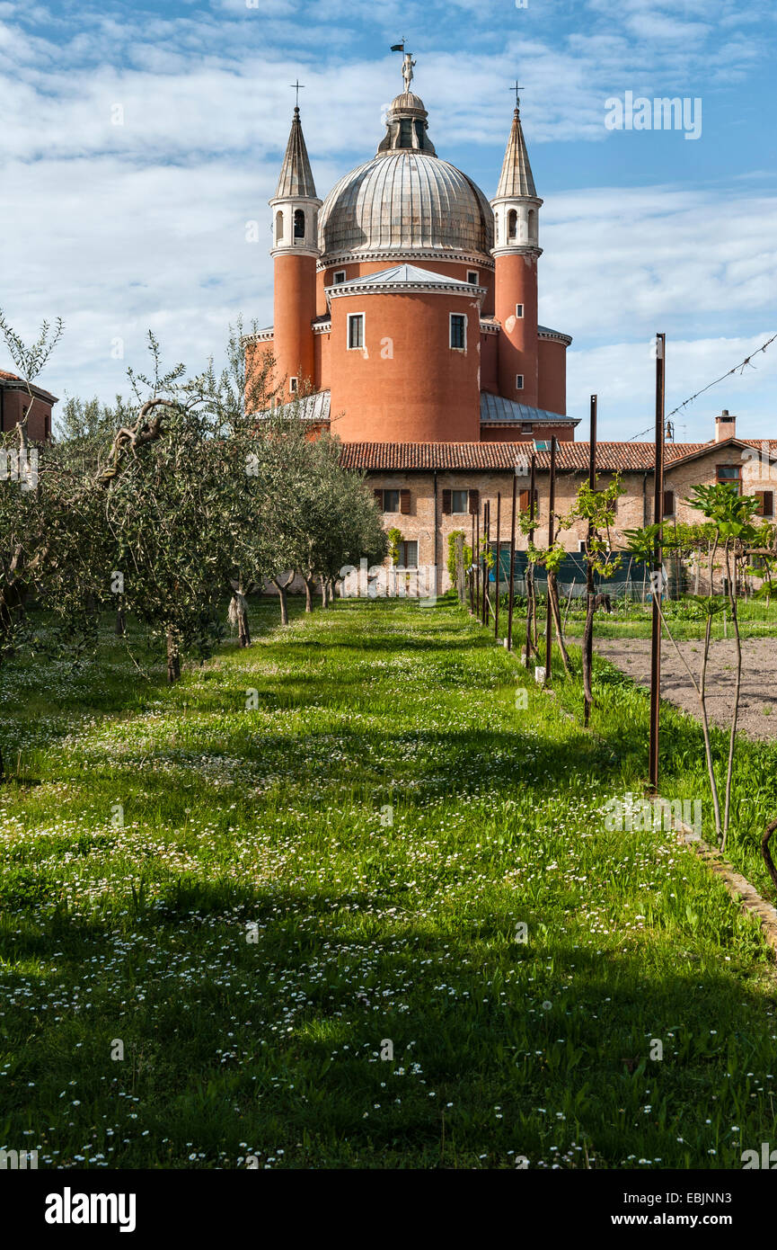 Le vignoble dans le jardin du monastère capucin 16c de il Redentore (conçu par Andrea Palladio), sur l'île de la Giudecca à Venise, Italie Banque D'Images