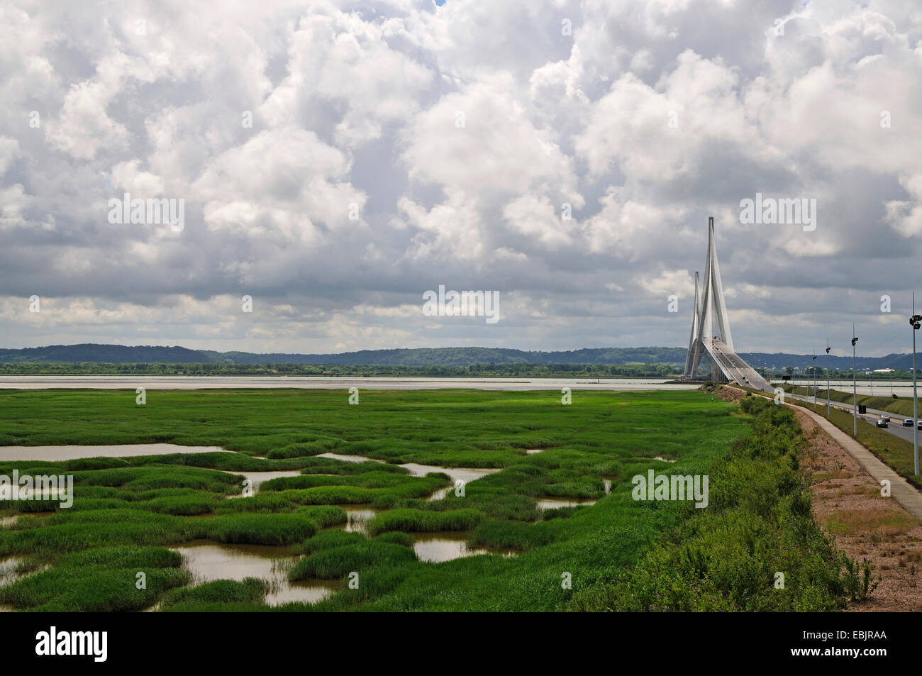 Pont à haubans road "Pont de Normandie" enjambe la rivière Seine