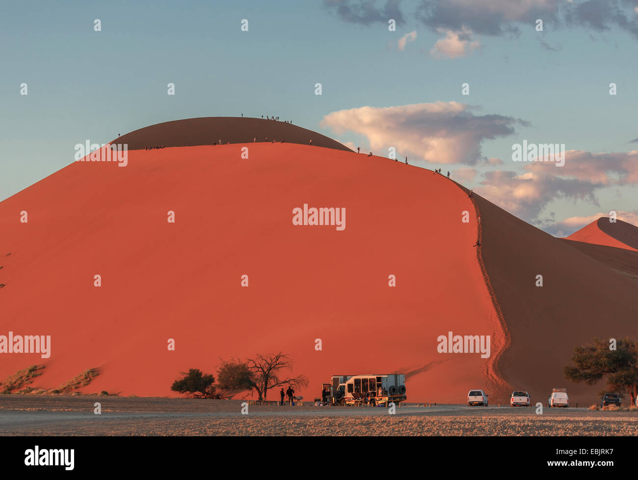 Grand groupe de touristes géant escalade dune de sable, le Parc National de Sossusvlei, Namibie Banque D'Images