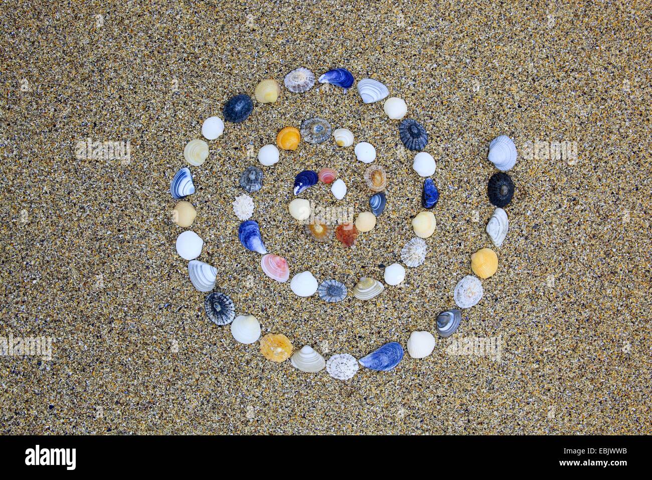 Dans conques sous forme d'une spirale sur une plage de sable, Royaume-Uni, Ecosse Banque D'Images