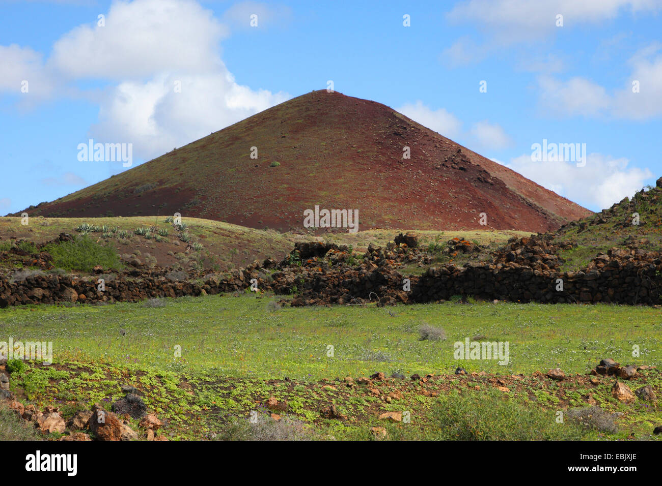 Paysage volcanique de Lanzarote, Îles Canaries Banque D'Images