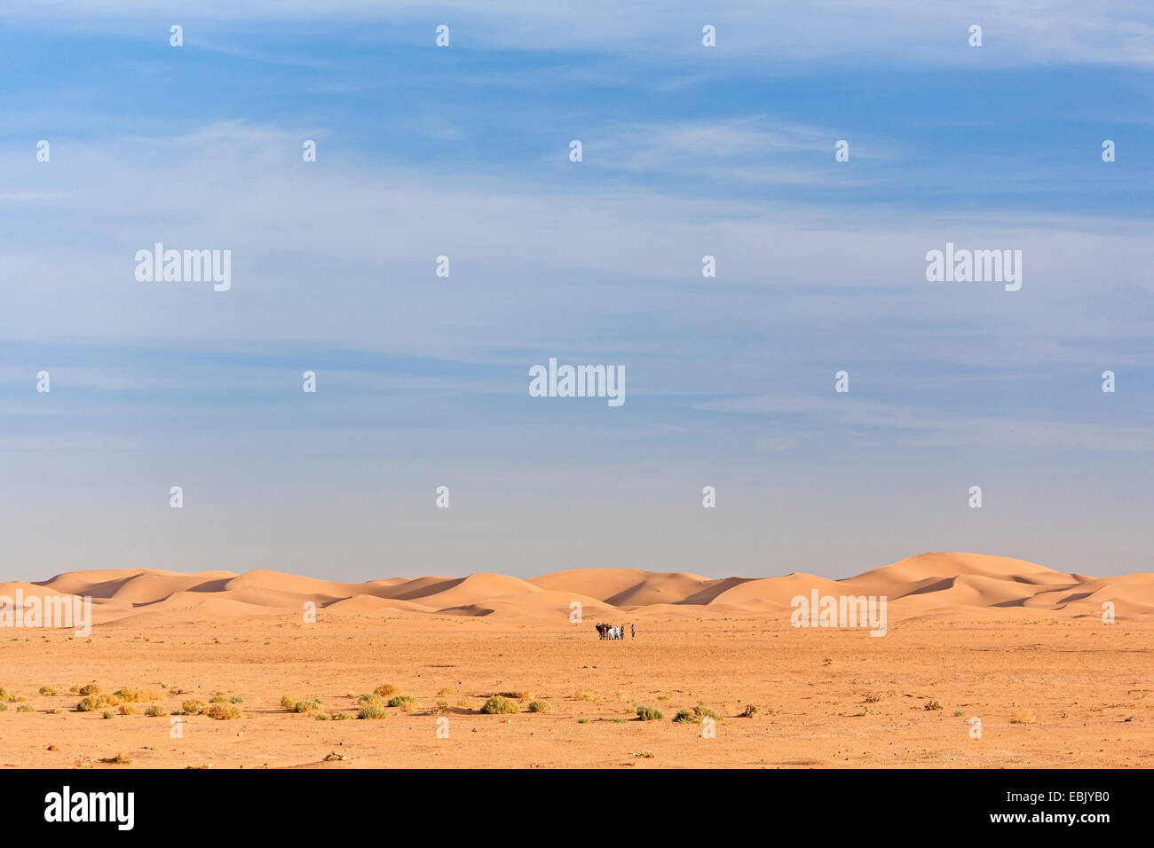 Caravan dans paysage de désert, Maroc, Marrakech-tensift-DaraÔ Banque D'Images