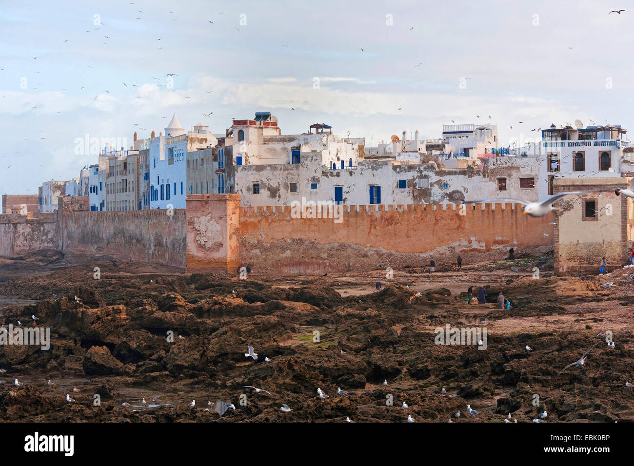 Vue sur la ville avec mur de la ville, Maroc, Essaouira Banque D'Images