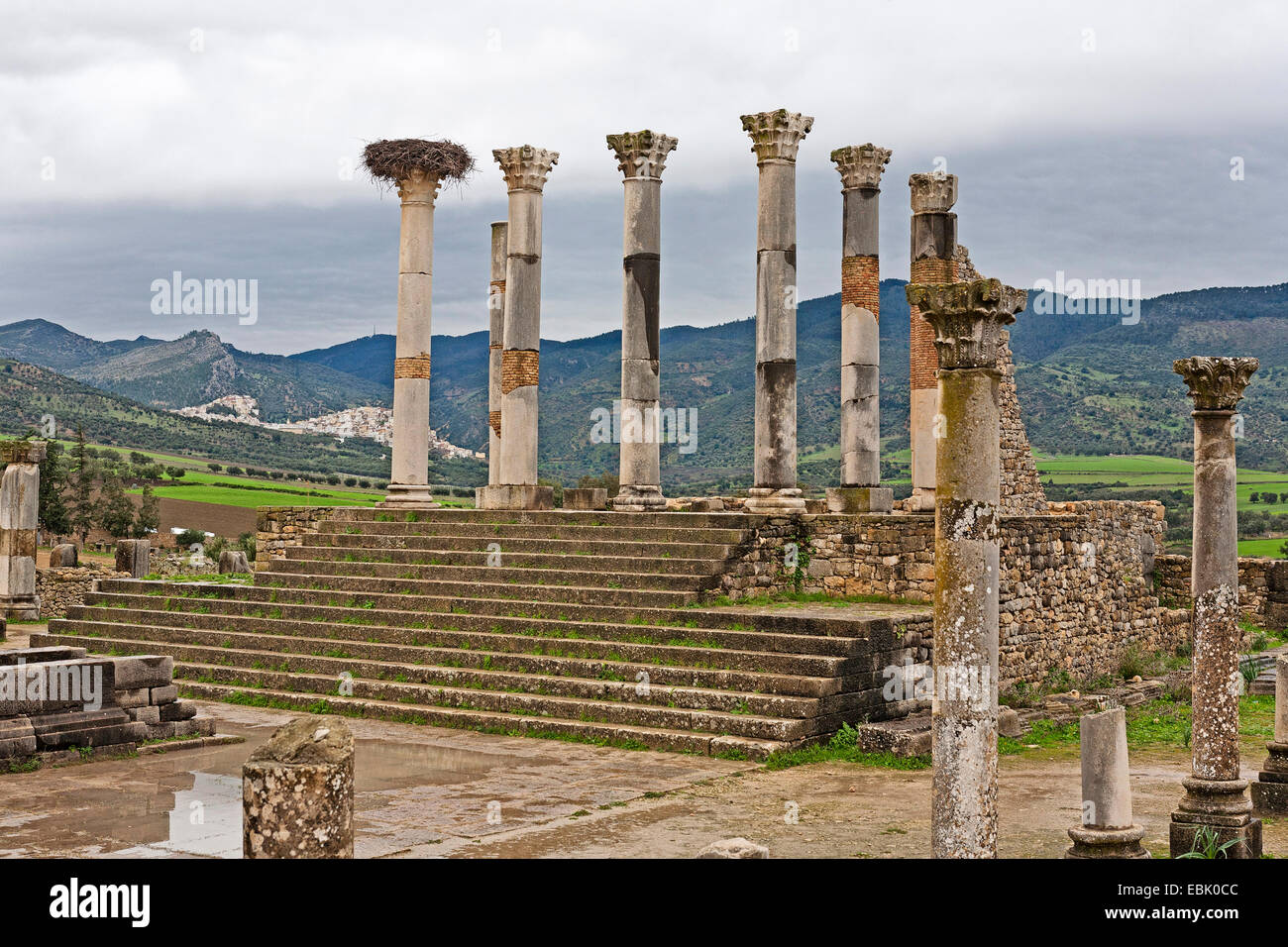 Site archéologique de Volubilis (Walili), Capitol, Maroc, MeknÞs Banque D'Images